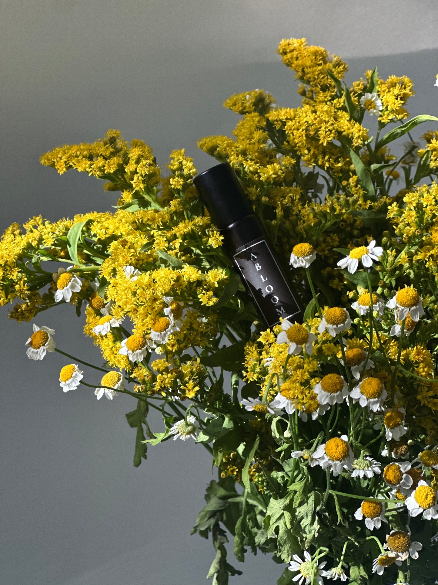 ABLOOM | Oil Parfum - wild orange, davana, chamomile, cypress