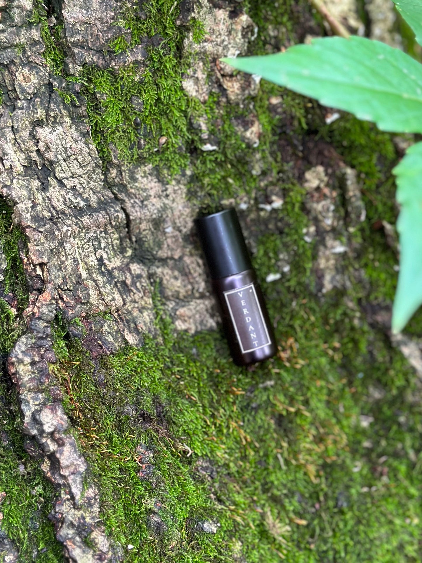 VERDANT | Oil Parfum - pink pepper, oakmoss, blue tansy