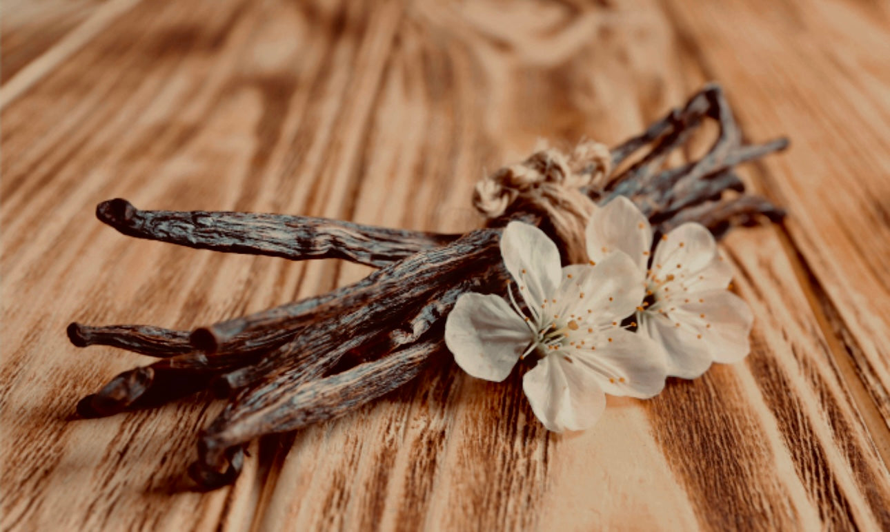 LUNETTE | Oil Parfum - lilac, linden blossom, vanilla, honey