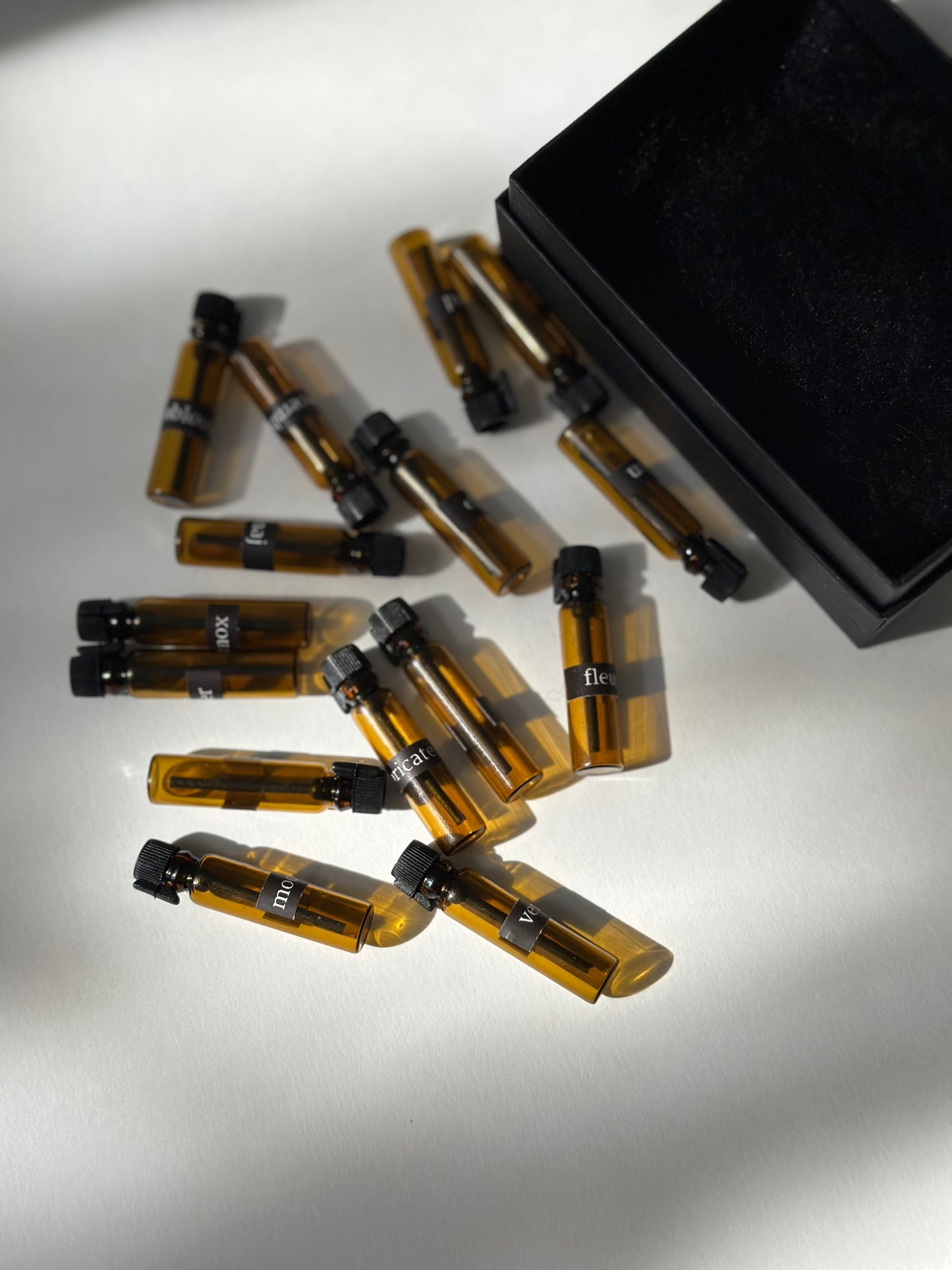 VIOLA DISCOVERY SET | COMPLETE SAMPLE COLLECTION