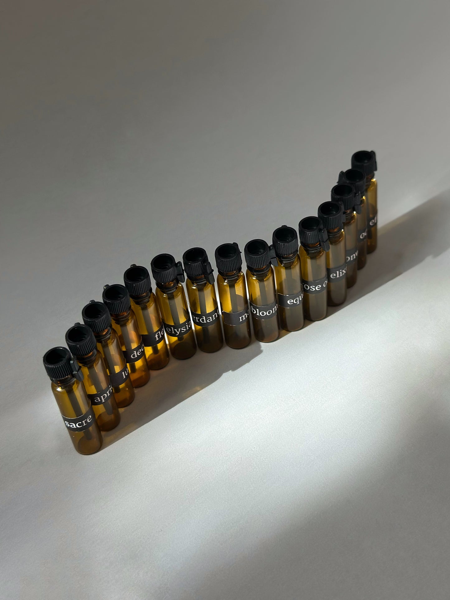 VIOLA DISCOVERY SET | COMPLETE SAMPLE COLLECTION